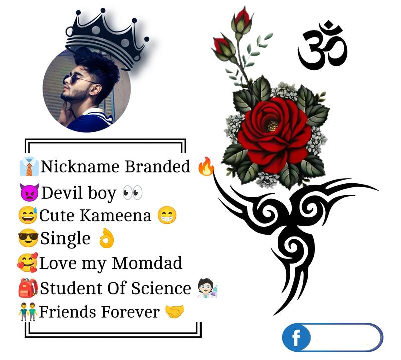 Facebook Bio For Boys Attitude 