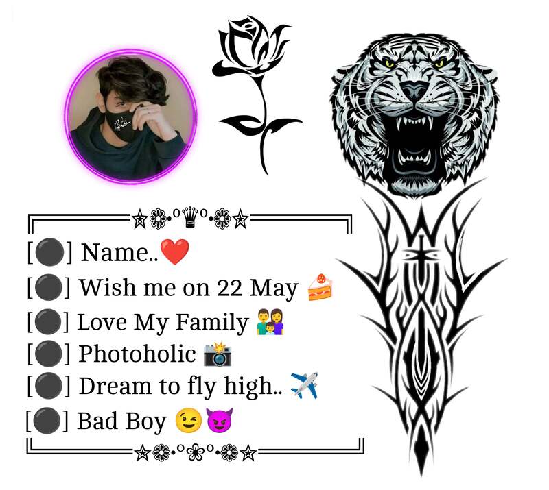 Fb Stylish Bio For Boys 