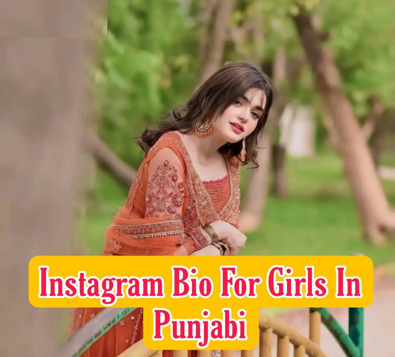 Instagram Bio For Girls In Punjabi 