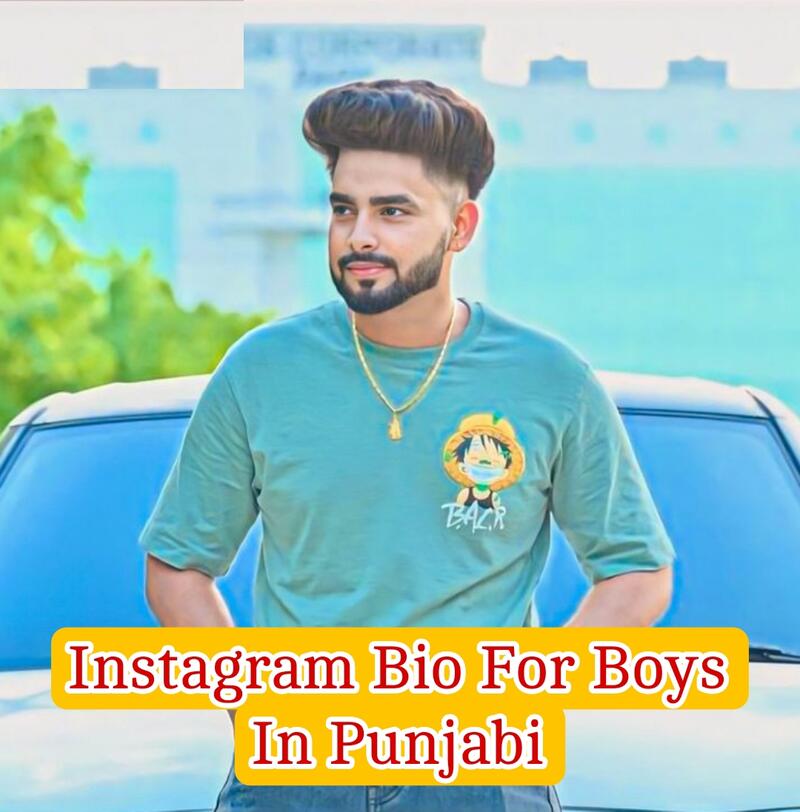 Instagram bio for boys in punjabi 