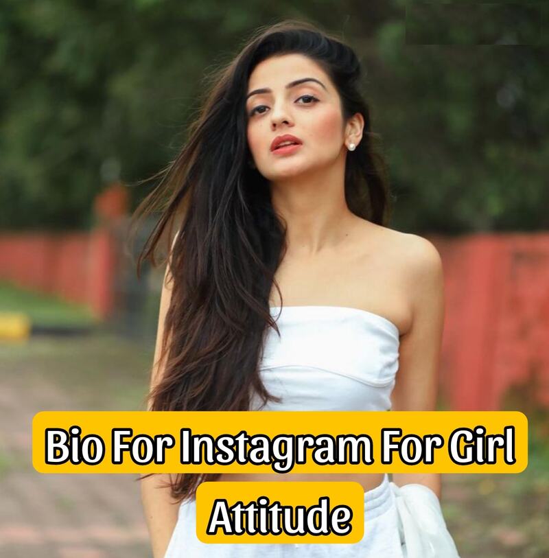 Bio For Instagram For Girl Attitude