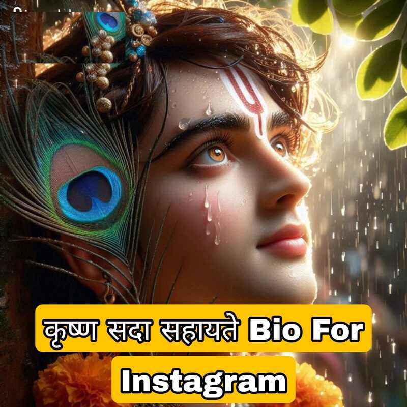 कृष्ण सदा सहायते Bio For Instagram